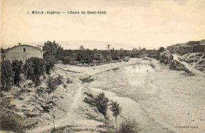 AFRIQUE. ALGERIE. M'SILA. Vue sur L´Oasis de Oued Ksob.