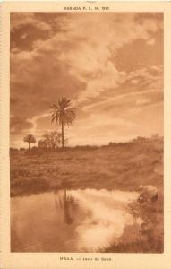 CPA   M'Sila Lever du soleil   (animée)   B566