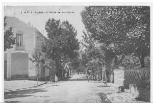 ALGERIE ) fl ) M'SILA, Route de Bou Saada, Coll Atlan, ANIMEE N° 4 **