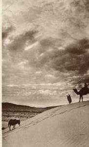 ALGERIE - BOU-SAADA - Coll artisitique R.PROUHO - Dromadaire, âne / 00.32