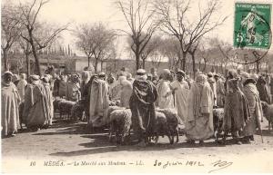 MEDEA le marche aux moutons