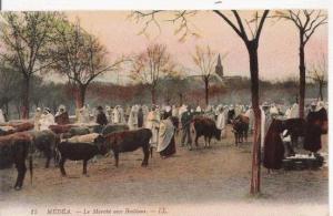 MEDEA 15 LA MARCHE AUX BESTIAUX