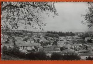 n29 10 Médéa quartier Nador.