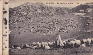 BOGHARI, Le Marche et le Ksar, Herd of sheep, Medea, Algeria, 10-20s