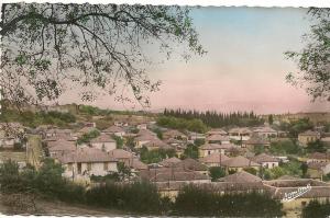 MEDEA   ( Algérie )  - Quartier Nador   ( C.P.S.M.   , Pt  -  Ft  )