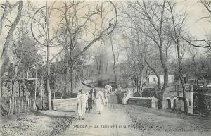 Algérie MEDEA Le papis vert et la pépinière CPA Coll. Idéale P.S.