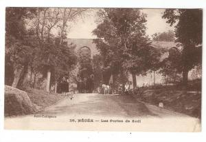 CPA  Algérie  Médéa  Les Portes de Sodi  animation , attelage ..