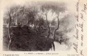 MEDEA  -  La Pépinière - L' Oued Barourah