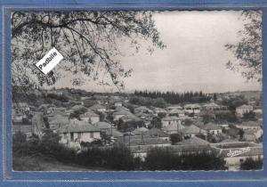 Carte Postale Algérie  Médéa  quartier Nador très beau plan