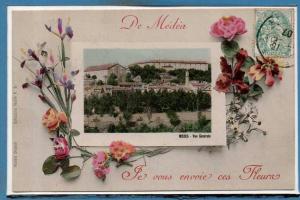ALGERIE -- Médéa -- Je vous envoie ces fleurs