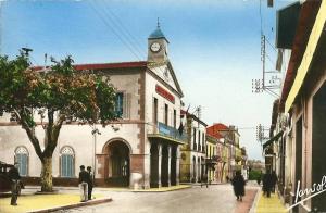 CPSM ALGERIE MEDEA Hôtel de ville  alt. 920m