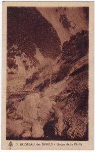 CPA - Ruisseau des Singes - Gorges de la Chiffa - Neuve - Ed. Photo-Africaines - Alger