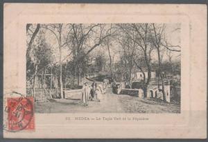 MEDEA - Le Tapis Vert et la Pépinière