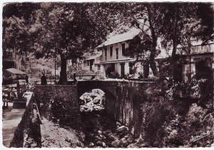 CPA - ALGERIE - Auberge de la Chiffa - Neuve/Mint