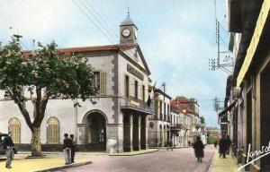 C.P. de MEDEA (Algérie)  l´Hôtel de ville