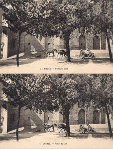 ALGERIE . MEDEA . 2 cartes identiques . Porte de Lodi .