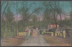 MEDEA - Le Tapis Vert et la Pépinière