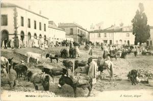 Algérie -  Médéa - Les abords du Marché couvert