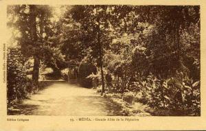 MEDEA Grande allée de la pépinière