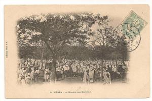 MEDEA LE MARCHE AUX BESTIAUX CP 856