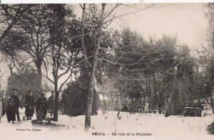 MEDEA UN COIN DE LA PEPINIERE (ANIMATION)