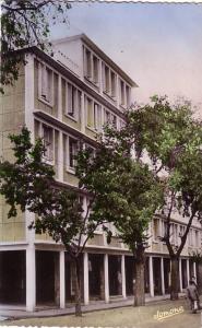 MEDEA (Algérie) les   H.L.M.  écrite en 1959 - CPM couleur animée- dimensions  9x 14 dentelée