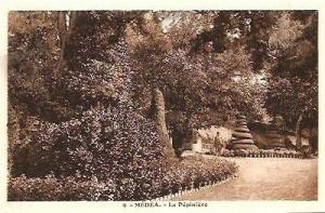 9.  MEDEA . LA PEPINIERE.