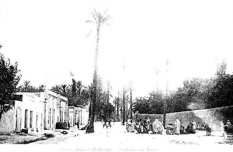 LAGHOUAT BOULEVARD DU NORD