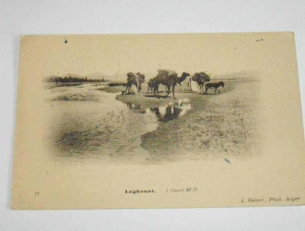 CPA LAGHOUAT l´oued M´Zi No 11 -ANIME