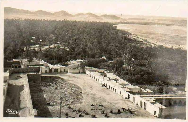 AFRIQUE. ALGERIE. LAGHOUAT. Vue Générale. Carte Dentelée.