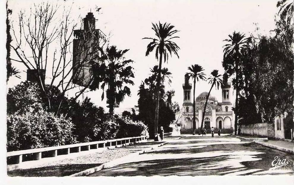 LAGHOUAT Algérie L' Eglise et la Commune Mixte  Carte dentelée véritable photo