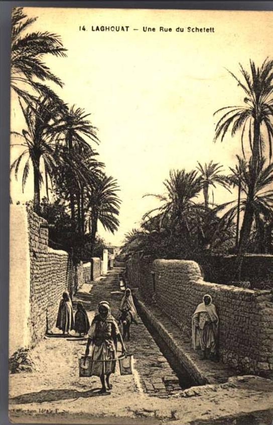 LAGHOUAT   Une rue du Schetett.       belle animation.