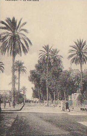 LAGHOUAT / LA RUE SONIS  //  REF12496