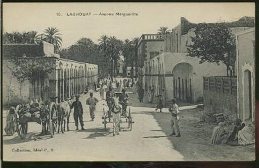 ALGERIE LAGHOUAT /  Avenue marguerite