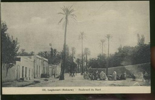ALGERIE LAGHOUAT /  Boulevard du nord