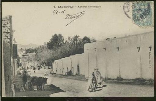 ALGERIE LAGHOUAT /  Avenue Cassaigne