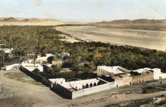 LAGHOUAT ... VUE DE L OASSIS