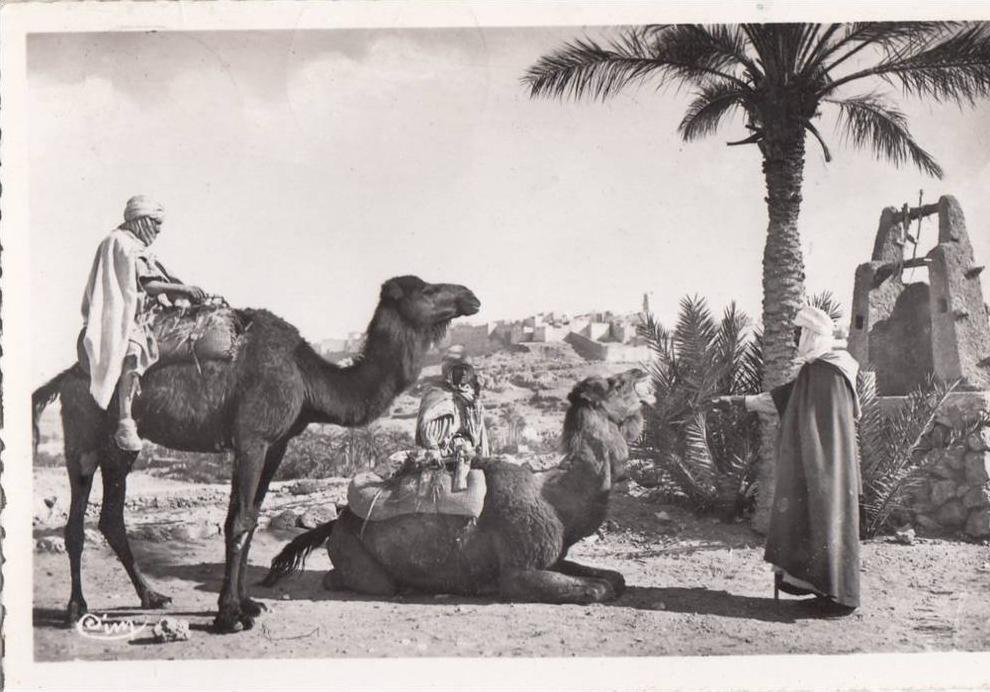 BR40426 Le M zab vue sur melika chamel  2  scans