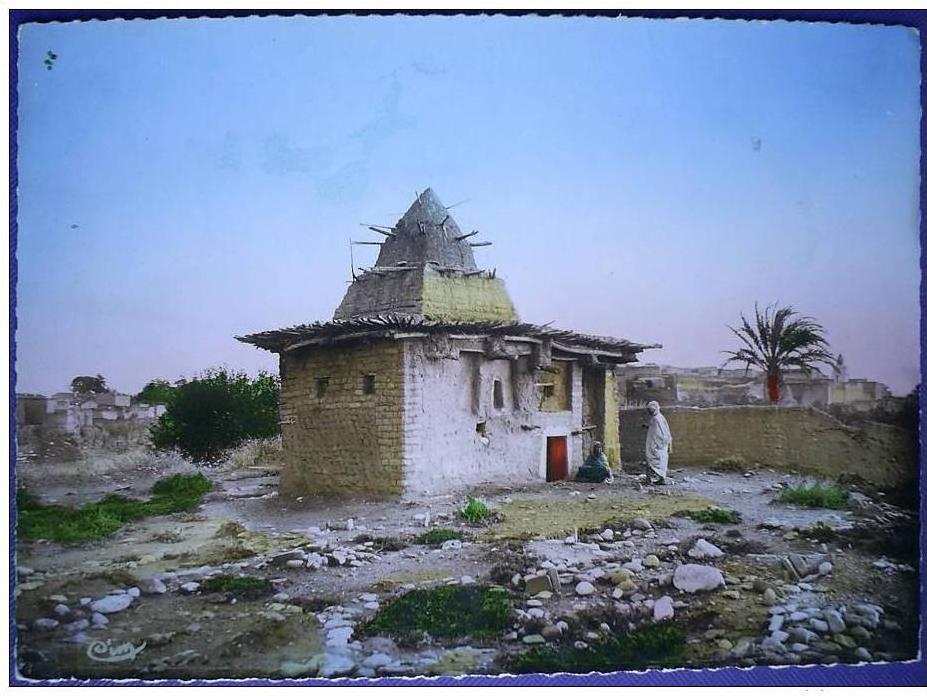 C. Postale  ALGERIE - M´SILA - UN MARABOUT A M´SILA