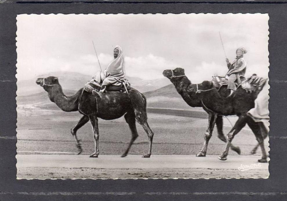 32510     Algeria,   Bou-Saada  