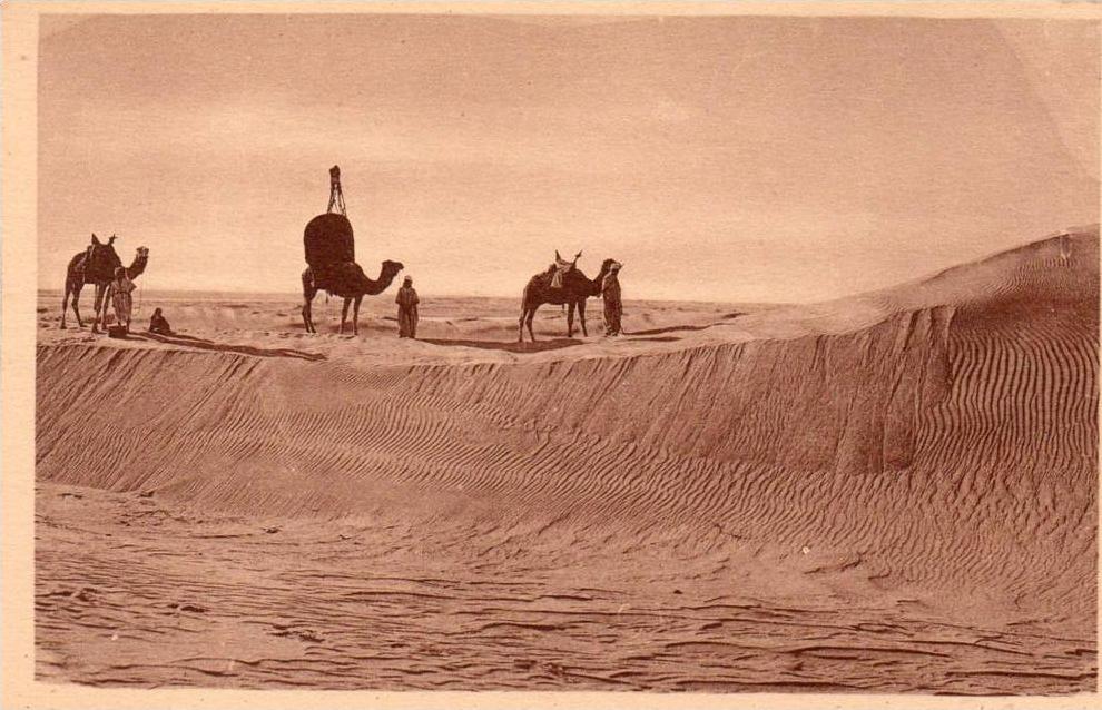 Algérie > ( M´Sila) BOU-SAADA-Caravane dans les dunes (- Editions  coll Prouho  n°38) PRIX FIXE