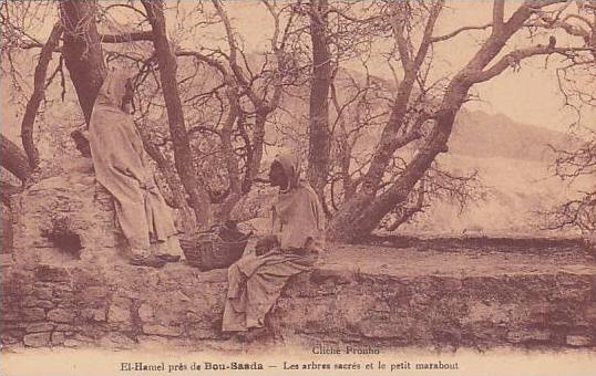 El Hamel Pres De Bou-Saada, Les Arbres Sacres Et Le Petit Marabout, M'Sila, Algeria, Africa, 1900-1910s