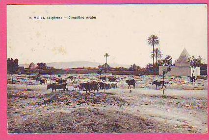 M´SILA ALGERIE CIMETIERE ARABE ??? ANIMATION ???