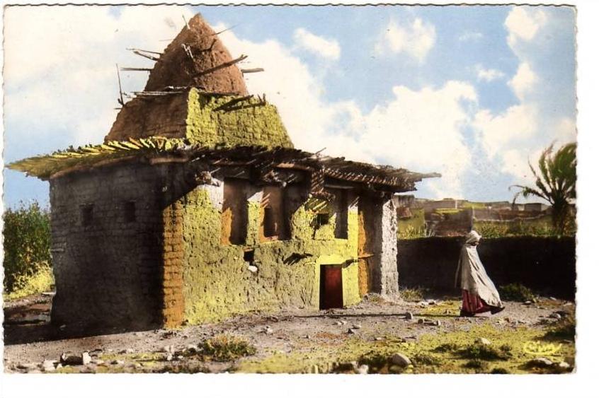 Un marabout à M'sila (1959) - cpsm petit format