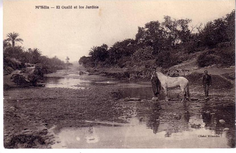 M´SILA - EL OUAID ET LES JARDINS