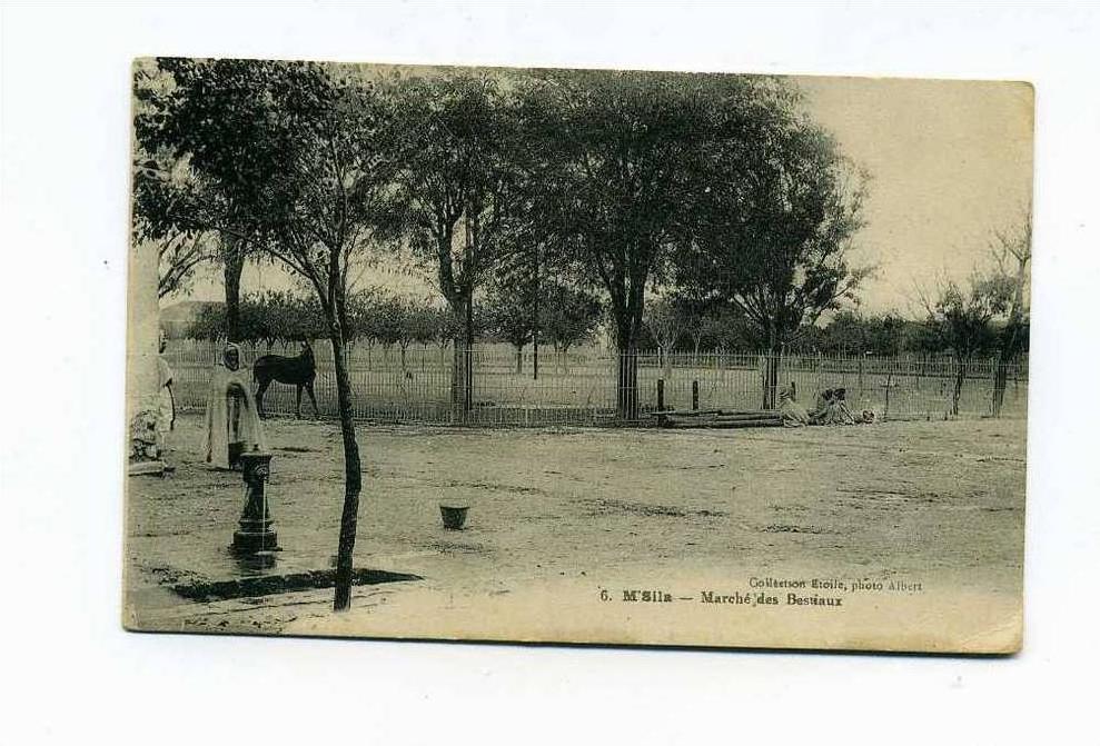 M'SILA MARCHE DES BESTIAUX
