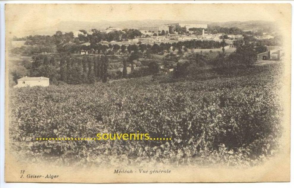 CPA ALGERIE  MEDEAH   vue generale  , Geiser n° 12   ,   ** prix nets **