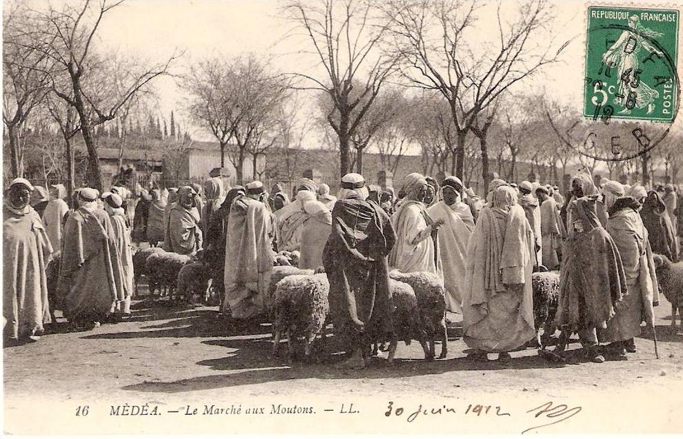 MEDEA le marche aux moutons