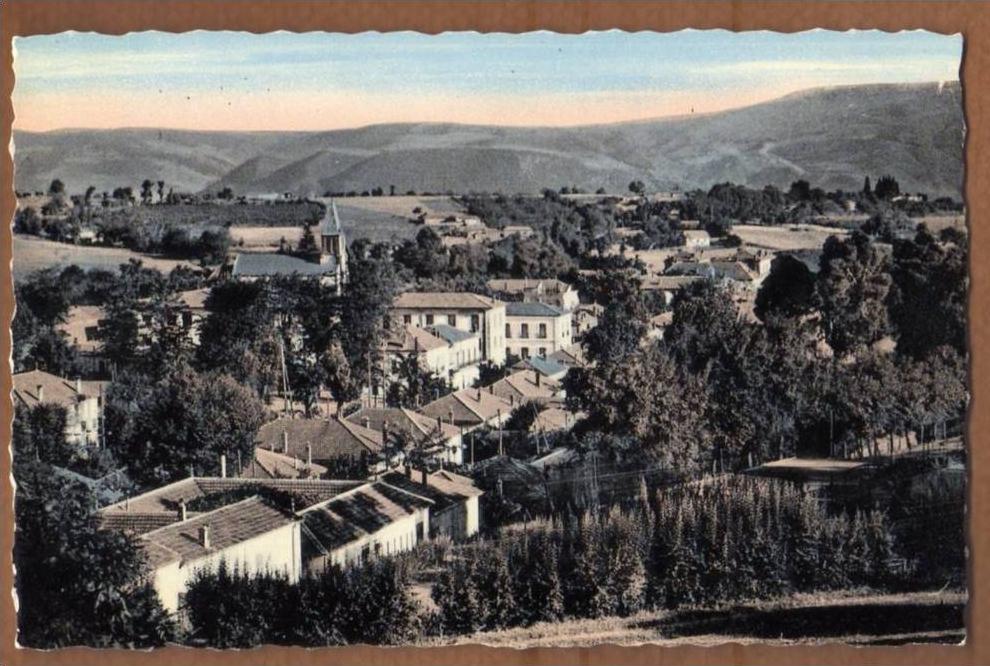 ALGERIE CPSM MEDEA VUE GENERALE VERS LE COLLEGE