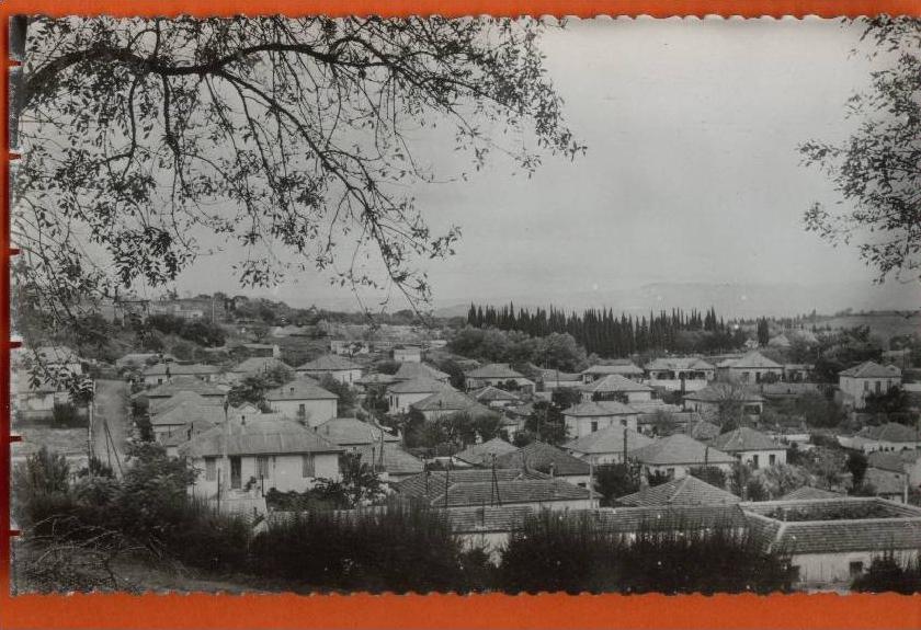 n29 10 Médéa quartier Nador.